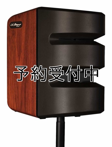 画像1: L.R.Baggs　SYNAPSE - PERSONAL PA SYSTEM (1)