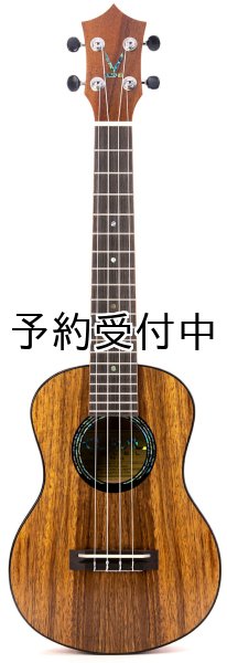 画像1: KUMU ukulele / Tenor Tuxedo   (1)