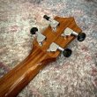 画像6:  【OUTLET】  KUMU ukulele / Concert HighGloss   (6)