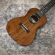 画像3:  【限定生産】 KUMU ukulele / Concert HighGloss   (3)