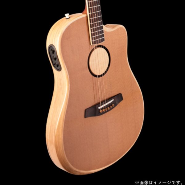 画像1: LRBaggs / AEG-1, Torrefied Sitka Spruce   (1)