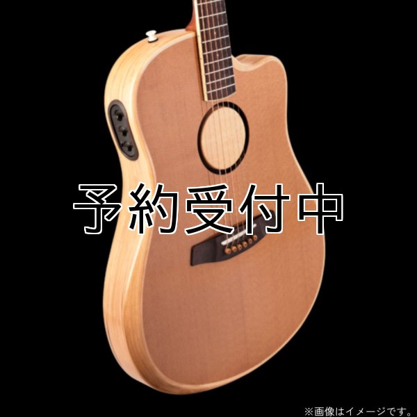 画像1: L.R.Baggs / AEG-1, Torrefied Sitka Spruce   (1)