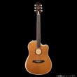 画像4: LRBaggs / AEG-1, Torrefied Sitka Spruce   (4)