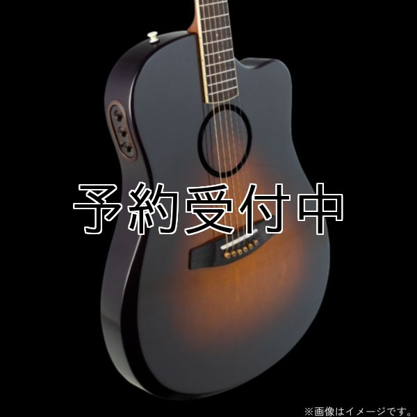 画像1: L.R.Baggs / AEG-1, Sunburst Sitka Spruce   (1)