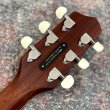 画像6: L.R.Baggs / AEG-1, Torrefied Sitka Spruce #24-0936  【店頭展示中】 (6)