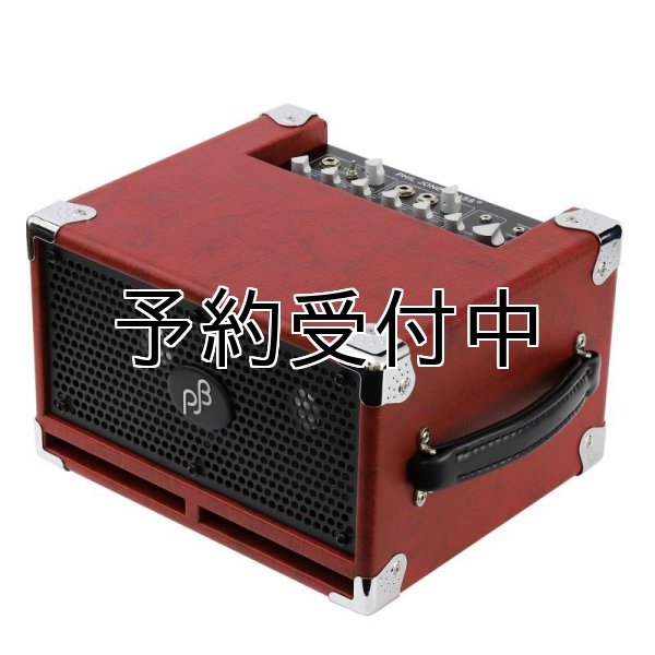 画像1: PJB / BassCubPro, Red   (1)